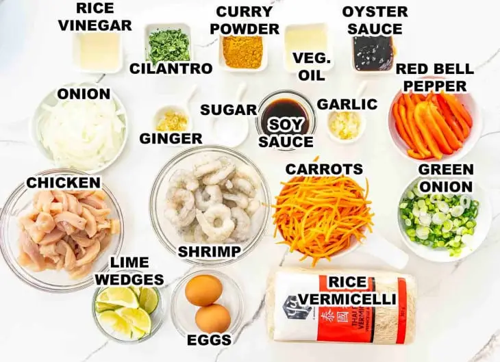 Ingredients You’ll Need for Singapore Noodles Recipe